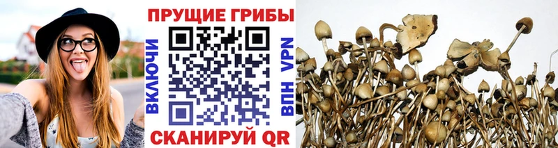 Псилоцибиновые грибы ЛСД Назарово